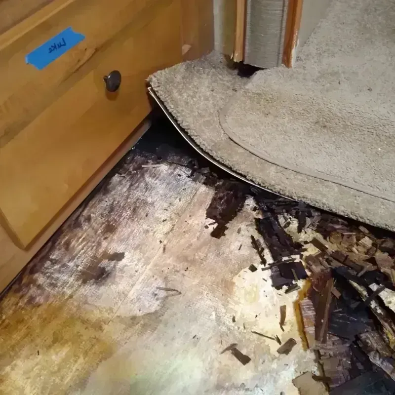 Best Wood Floor Water Damage Service in Kettering, MD